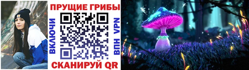 ссылка на мегу tor  Невельск  Псилоцибиновые грибы Psilocybine cubensis 